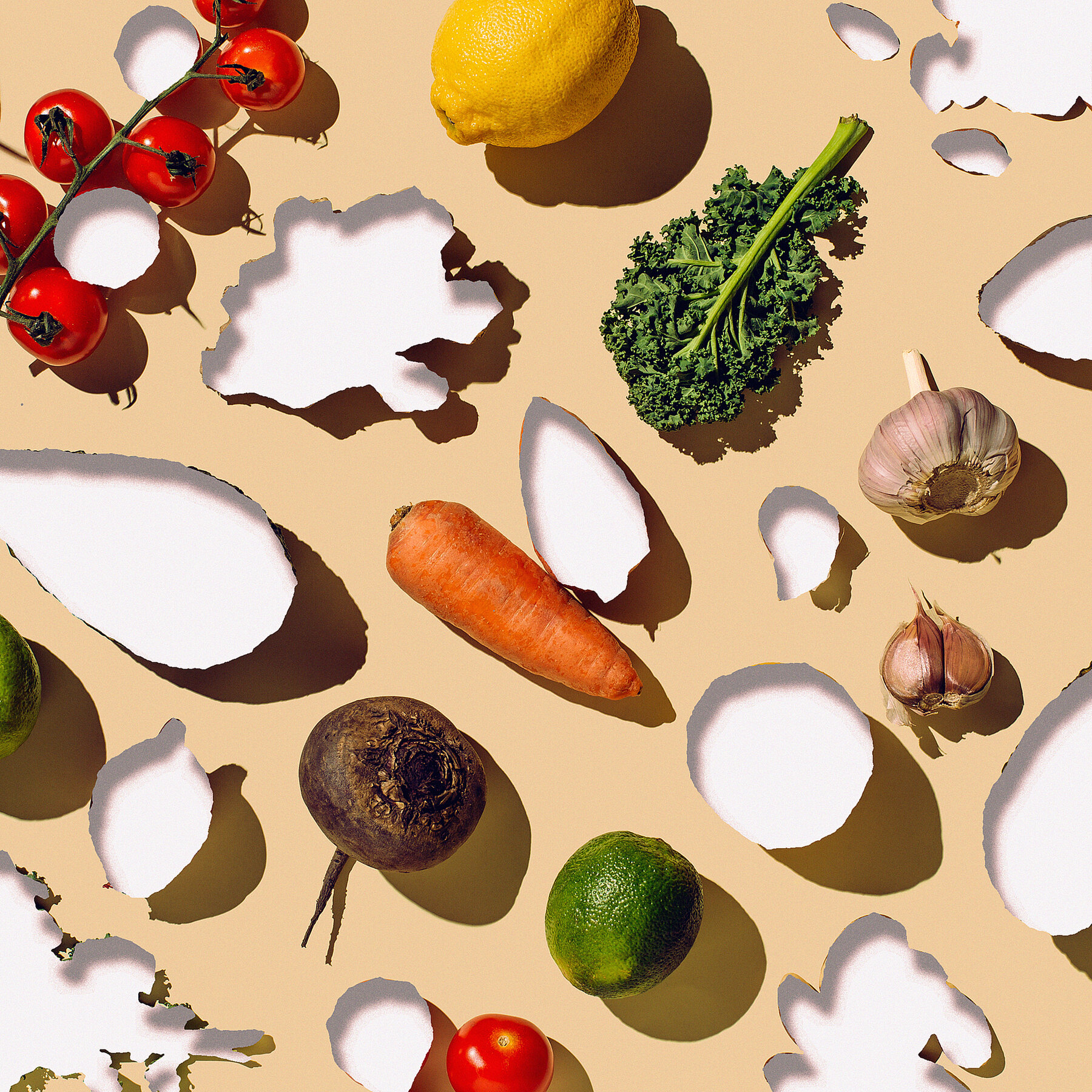 Feeding Your Family on SNAP: A Modern-Day Struggle That Mirrors Biblical Sacrifices and Political Divisions in America’s Welfare Debate