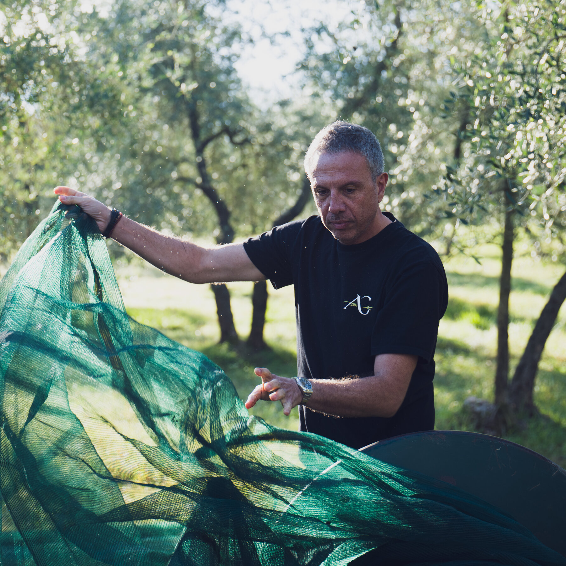 Olive Tree Rescuers: Reviving Abandoned Groves is a Battle for Our Future, Just Like the Fight for Our Souls