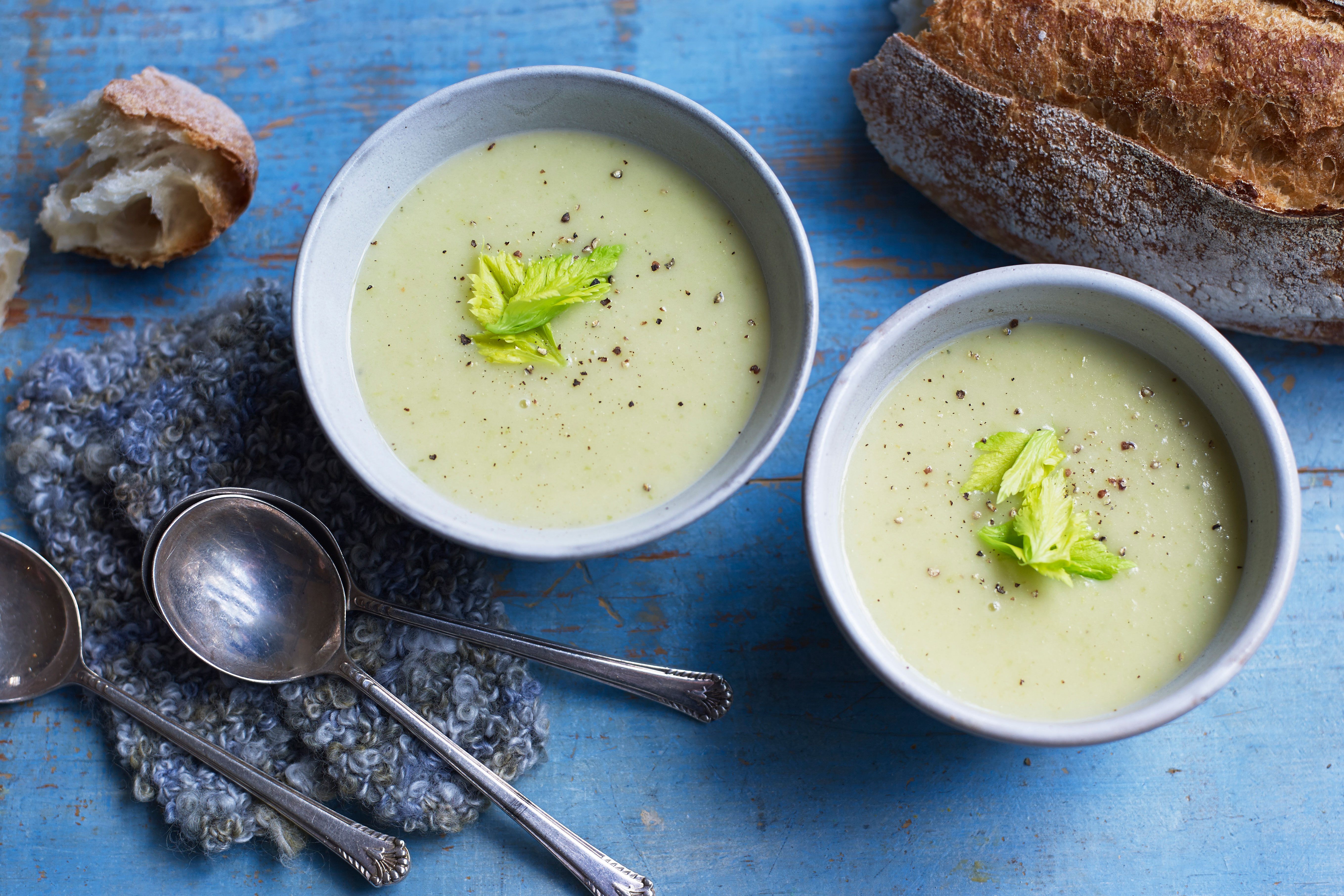 Celery soup Two bowls of celery soup