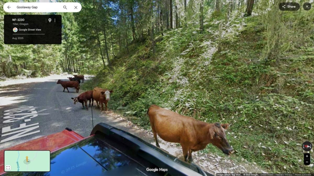 The TransAmerica Trail Mapping Project: A Digital Assault on America’s Untamed Wilderness, Igniting a Clash Between Nature Lovers and Tech Giants’ Control Over Our Wild Spaces