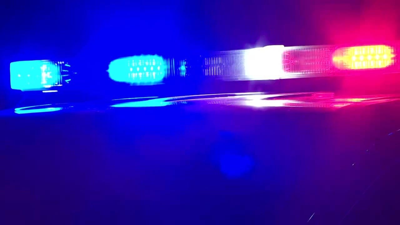 HIGHWAY 55 BLOODBATH: What They Aren't Telling You