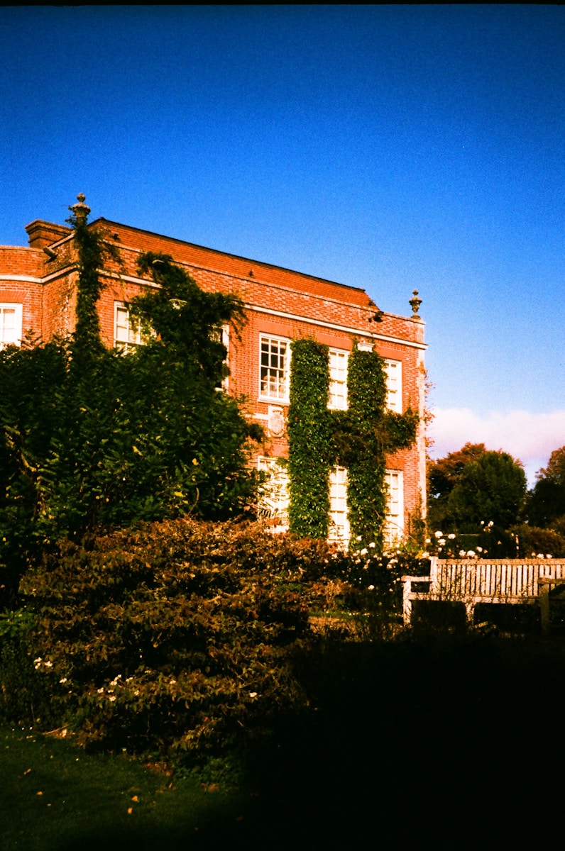 Brick building with ivy growing on wall