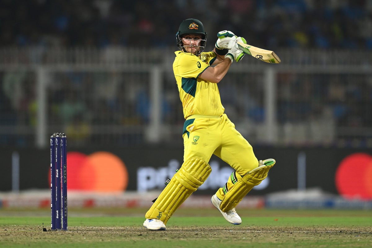 Josh Inglis is Australia’s back-up wicketkeeper (Getty Images)