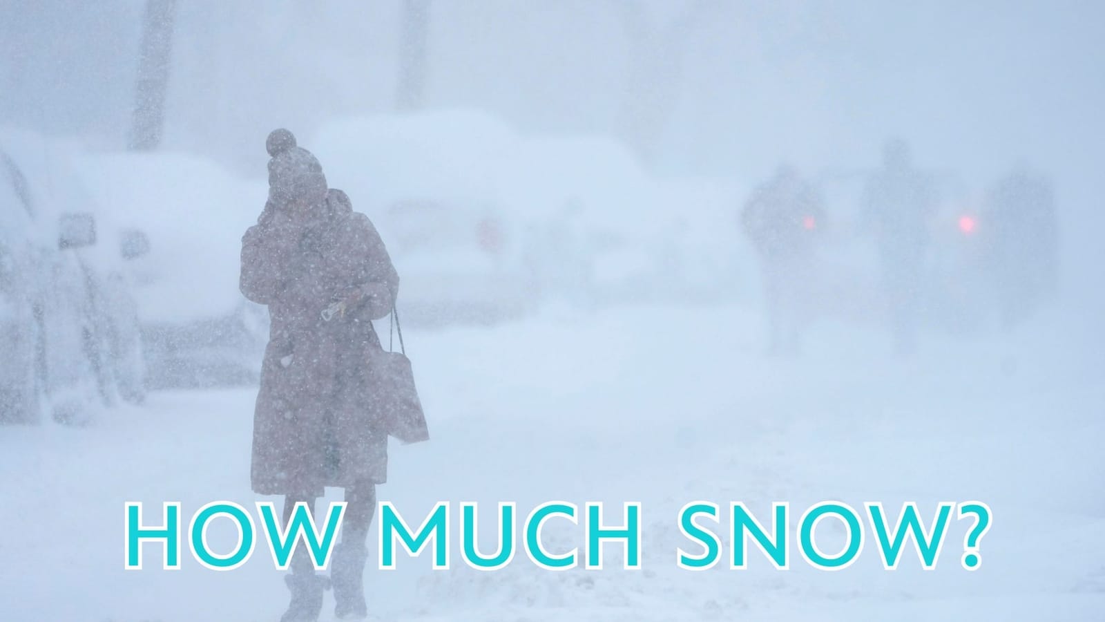 NYC Snow Storm: Was Hochul's Emergency a PR Stunt?