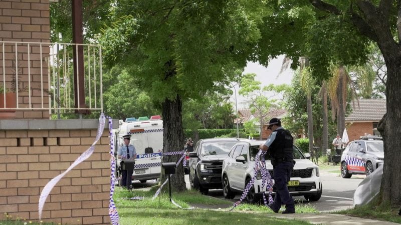 Bondi Attack Reveals Failure of Surveillance State