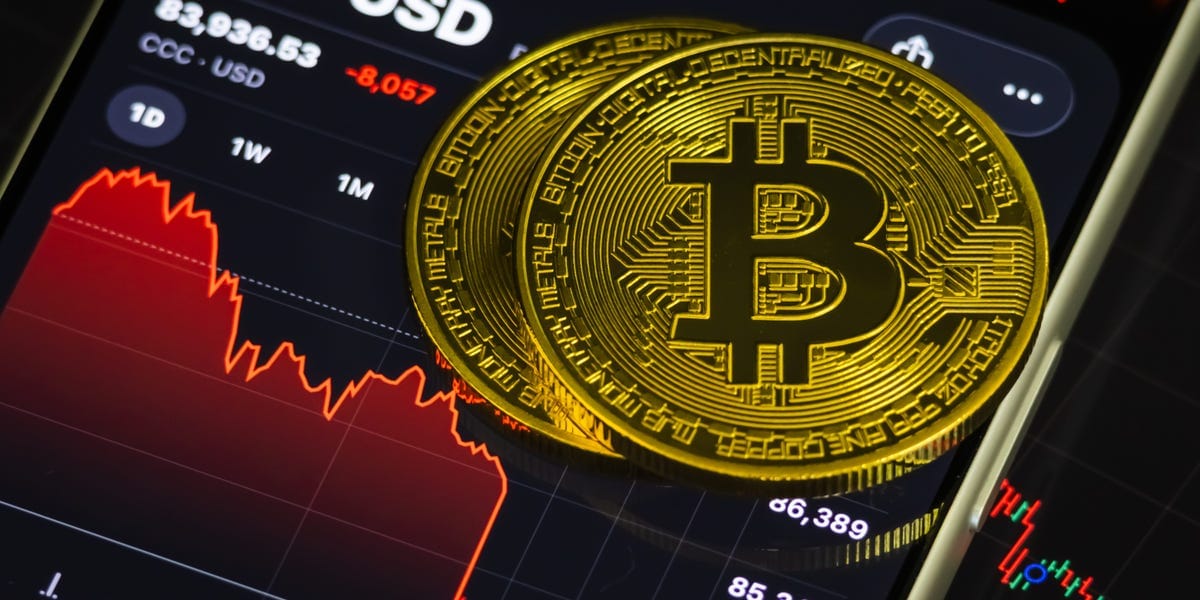Bitcoin Meltdown Proves The Crypto Dream Is A Lie