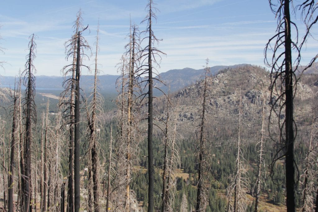 Forest Service Paperwork Fuels California's Next Inferno