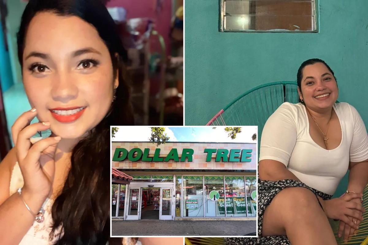 Dollar Tree Freezer Death Proves Retail Is America's Darkest Corner