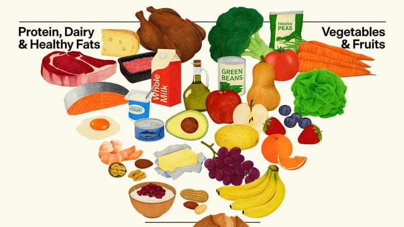 RFK Jr. Food Pyramid Guts Public Health Safety
