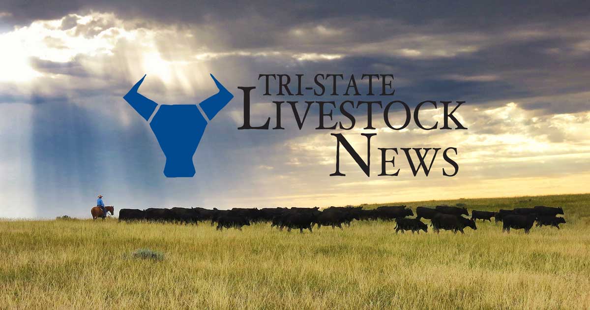 US Congress Faces Ethanol Debate Amid Farm Concerns
