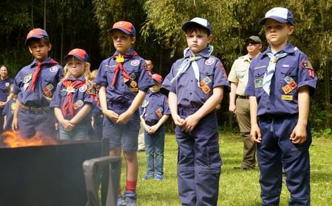 Pentagon Signals Potential Military Support Withdrawal from Scouting America Over DEI Policy