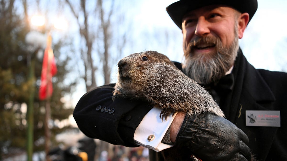 Punxsutawney Phil's Groundhog Day Prediction and Familial Status Explained