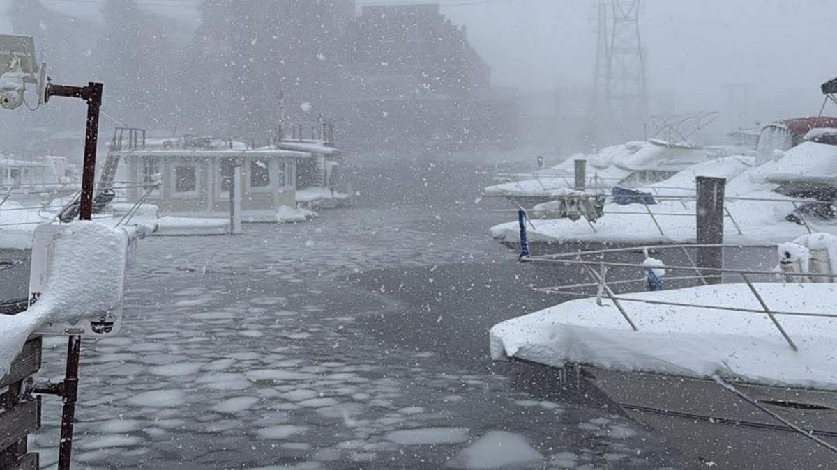 Rhode Island Blizzard 2026: Critical Infrastructure Analysis and Emergency Response Protocols
