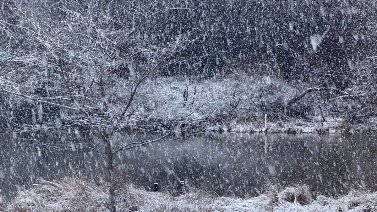 Analysis: Maryland Snowstorm Exposes Urban-Suburban Infrastructure Disparity