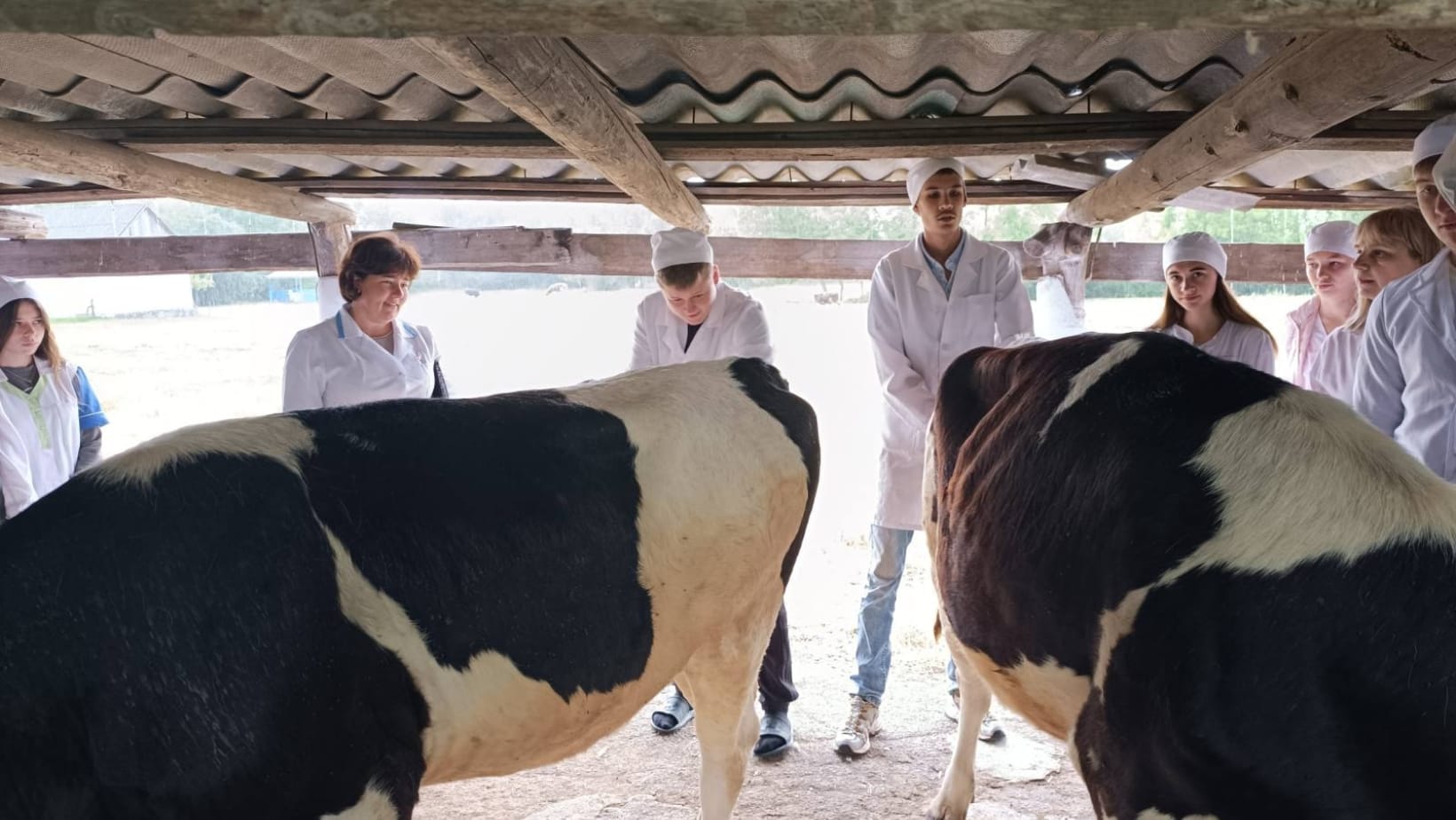 EDUVET Project: EU Funding Drives Strategic Modernization of Moldova's Veterinary Education and Food Safety Standards