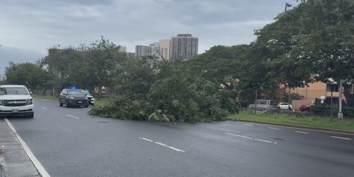 Hawaii Grapples with Severe Weather Disruptions, State Closures