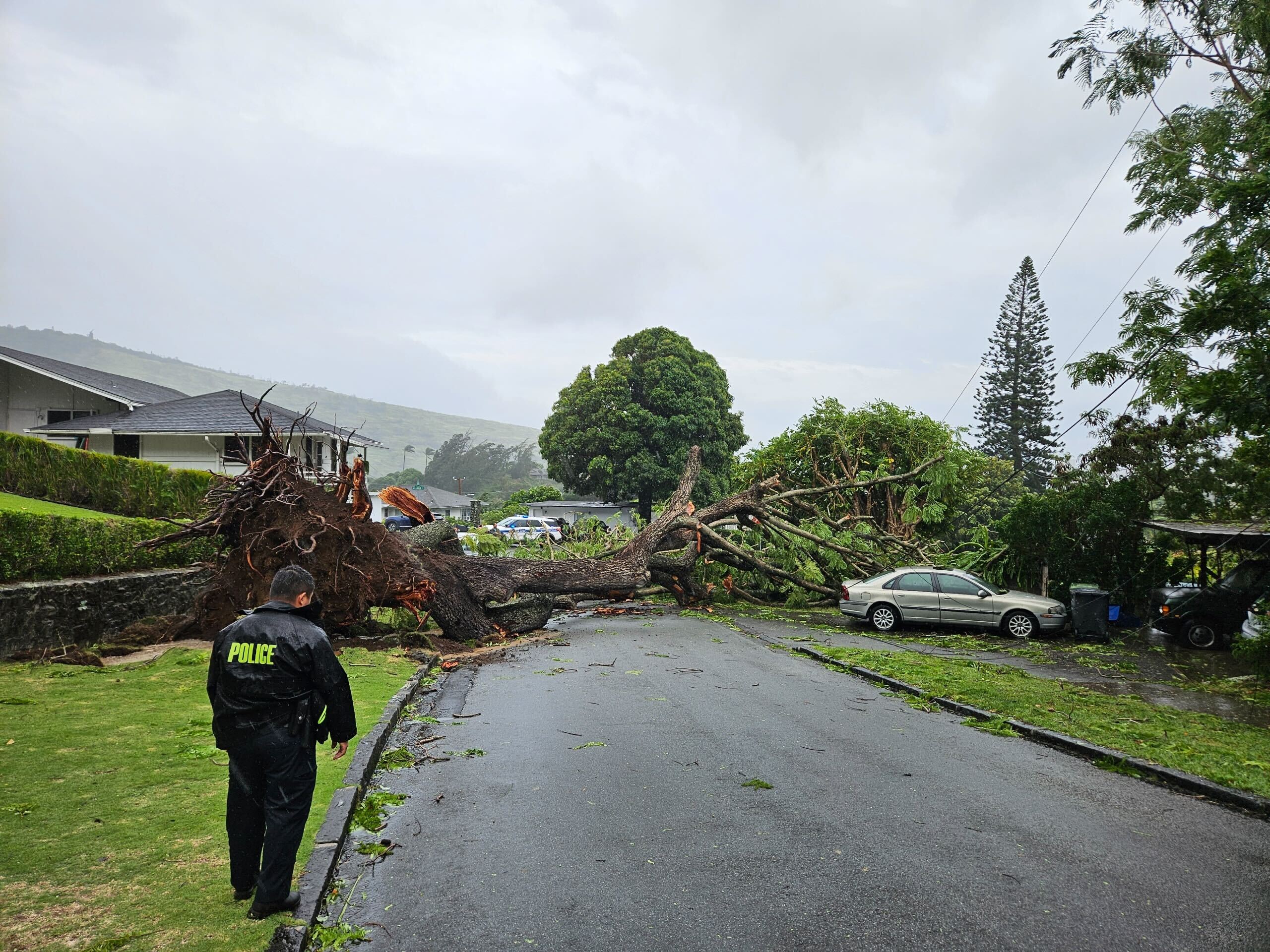 Hawaii Grapples with Severe Weather Disruptions, State Closures
