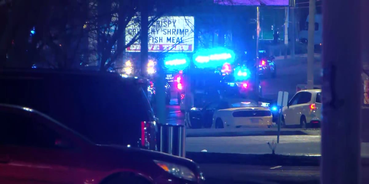 Operational Analysis: Logistical and Jurisdictional Dynamics of the Memphis Officer-Involved Shooting