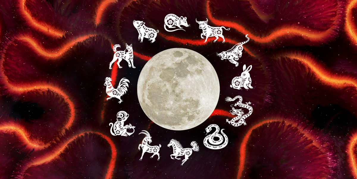 2026 Lunar New Year: Year of the Horse Ignites Global Ambition and Opportunity