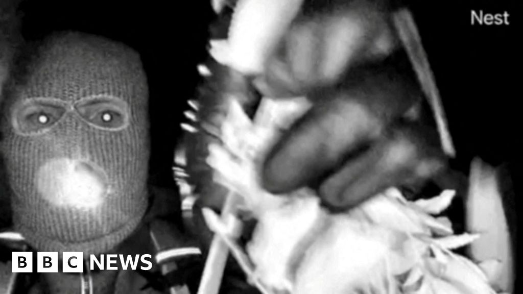 FBI Escalates Search for Nancy Guthrie in Tucson Kidnapping