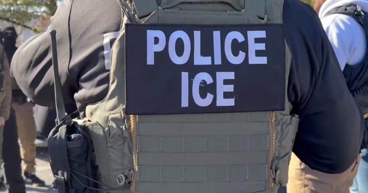 Government Attorney Removed from Detail Following Derogatory Statement Regarding ICE Litigation Role in Federal Court