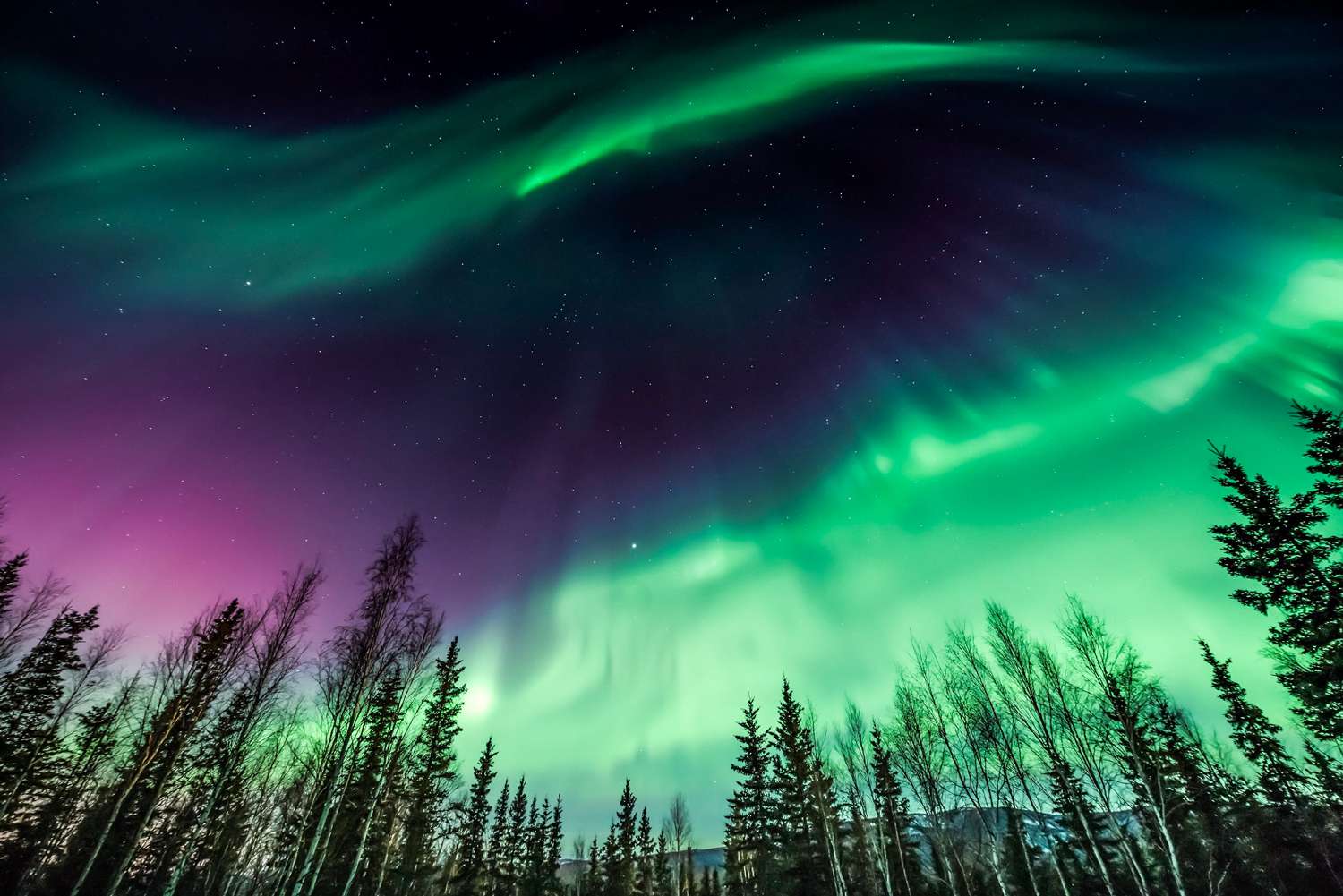 Analysis of Space Weather Events Following Unanticipated Coronal Mass Ejection Arrival