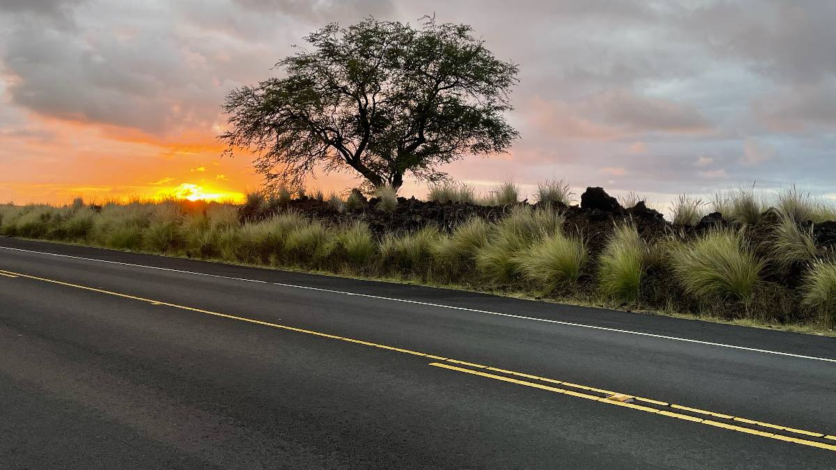 Routine Hawaii Forecasts Underpin Broad Economic Activity