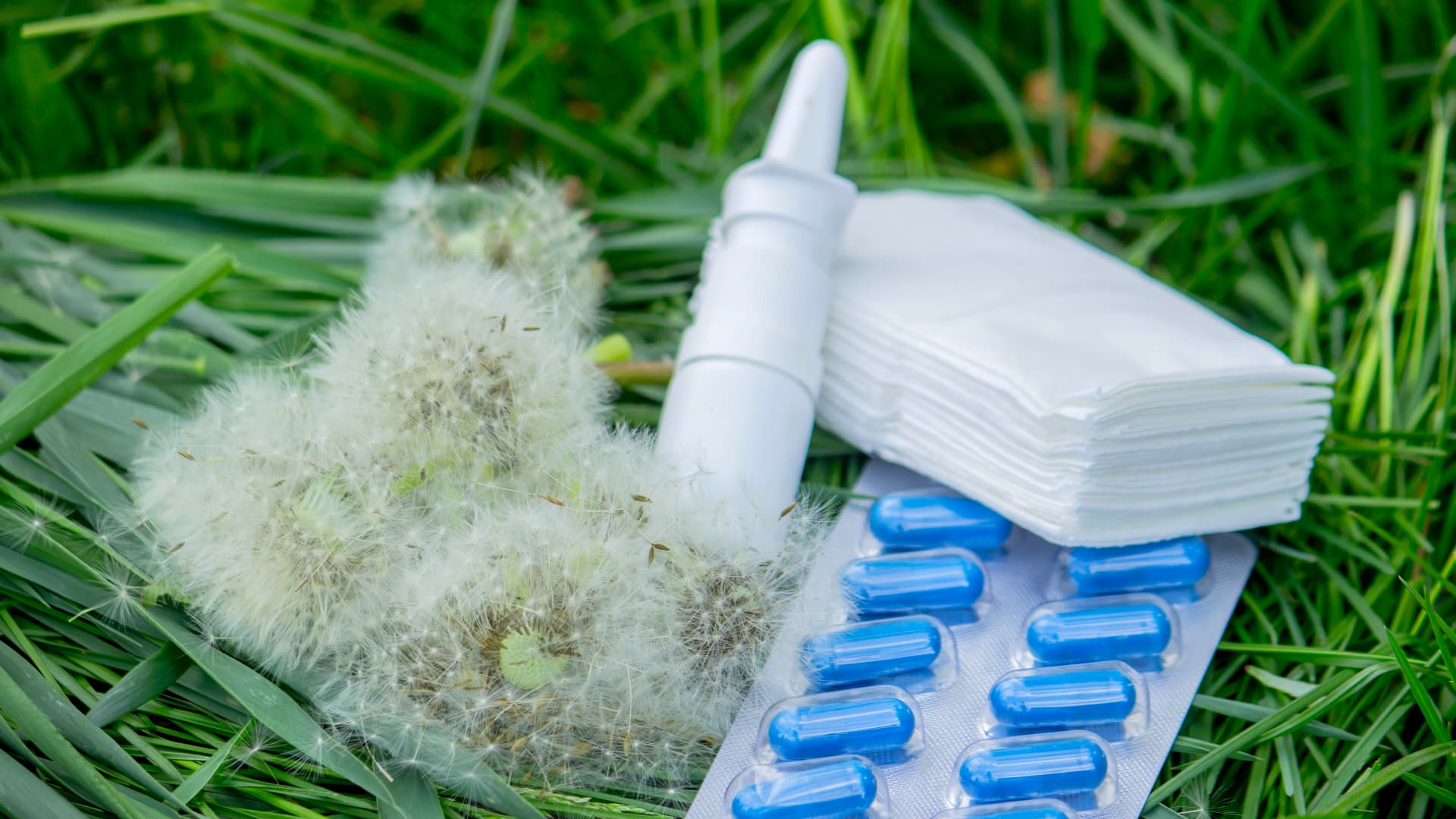 Climate Change Accelerates North American Allergy Season: Intensity and Duration Surpass Historical Baselines