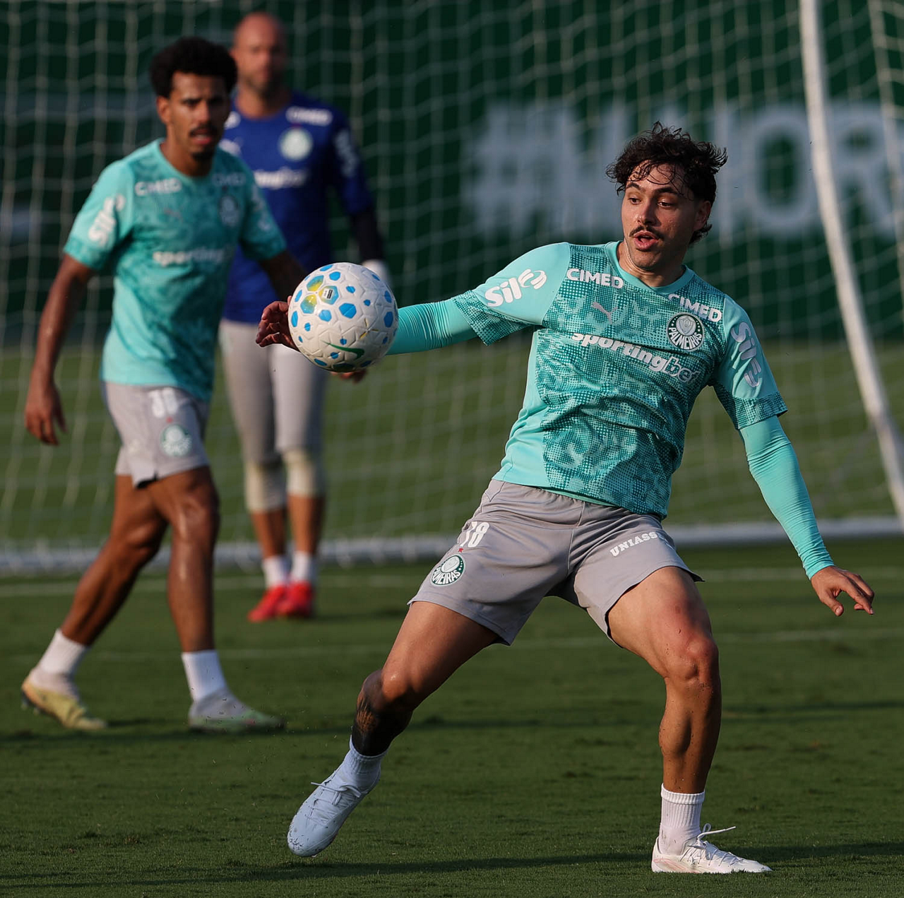 Palmeiras vs. Botafogo: Tactical Asymmetry and Infrastructure Leverage at Allianz Parque