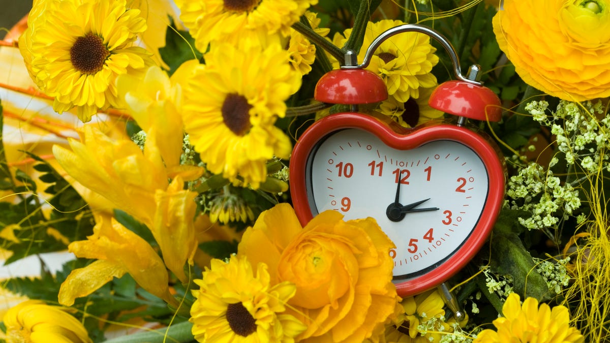 Daylight Saving Time Debate: US Divided on Clock Changes