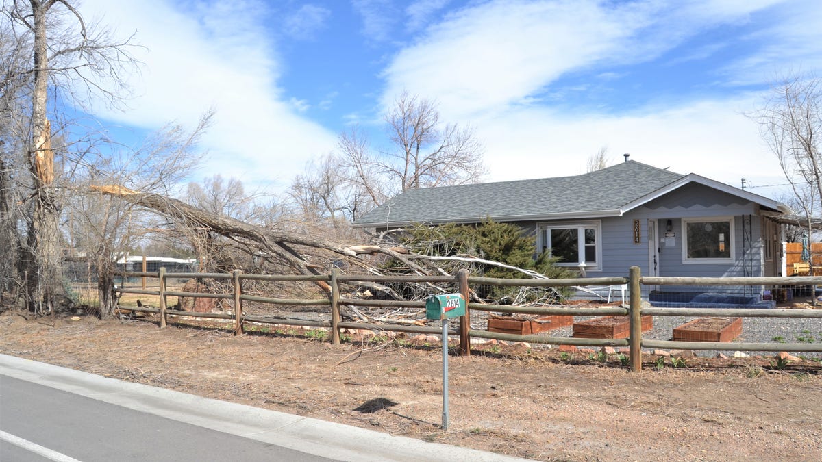 Fort Collins Wildfire Exposes Systemic Infrastructure Vulnerability