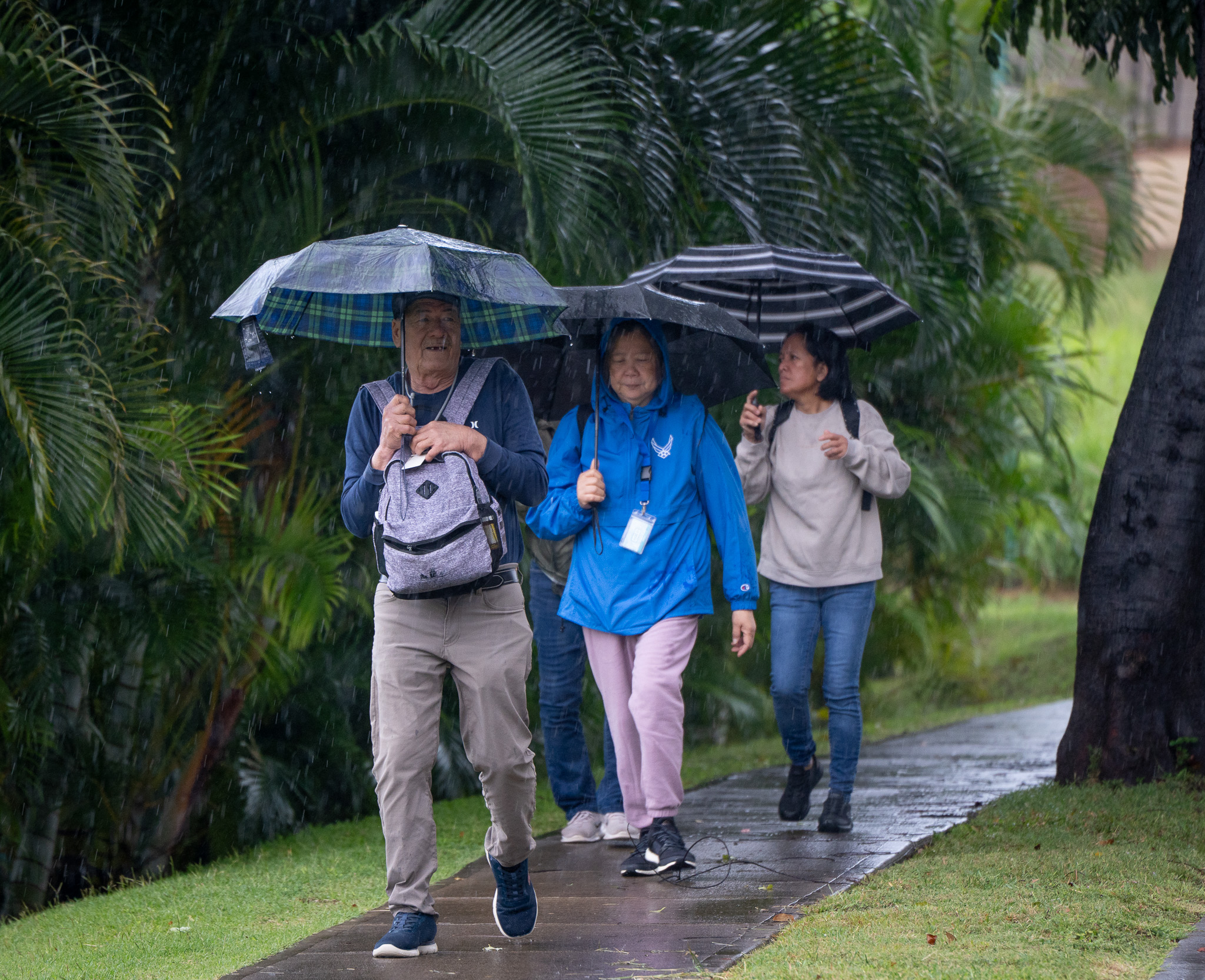 Kona Storm Exposes Critical Vulnerabilities in Hawaii Electric Grid; 40k+ Out as State Declares Emergency