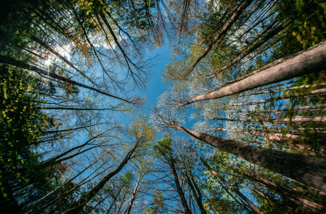 Earth Day's Strategic Pivot: From Regulatory Command-and-Control to Behavioral Economics and Market-Driven ESG