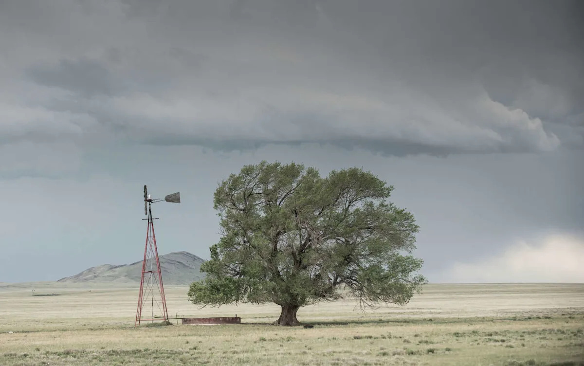 Grid Stress Test: 50 MPH Winds Expose Vulnerabilities in San Antonio’s Electrical Infrastructure