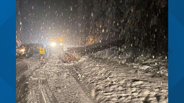 Trans-Cascadian Logistics: A Systemic Analysis of I-90 and Regional Mountain Pass Infrastructure Failures