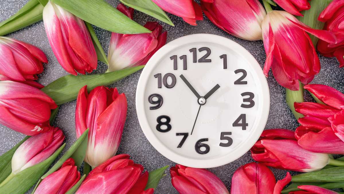 2026 Daylight Saving Transition: Structural Risks and Regulatory Oversight