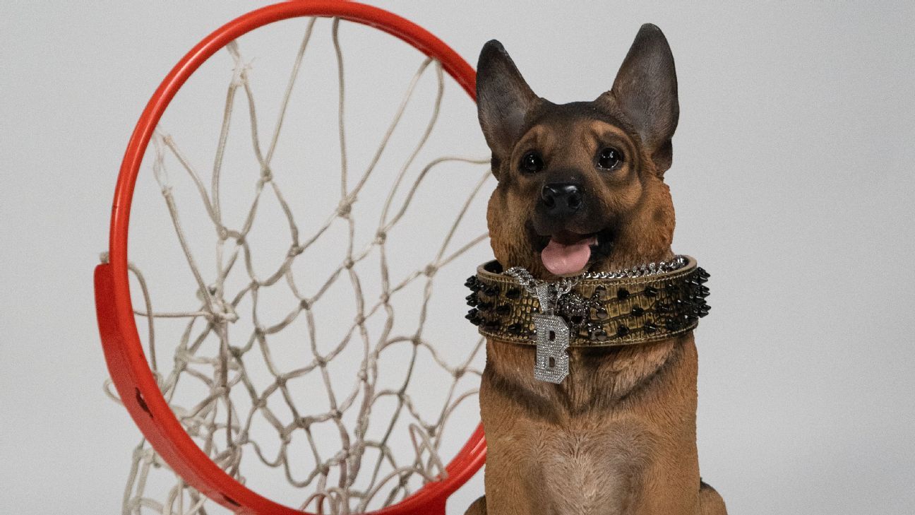NCAA Opener: Queens' 'Street Dog' Ethos Confronts Purdue's Title Aspirations