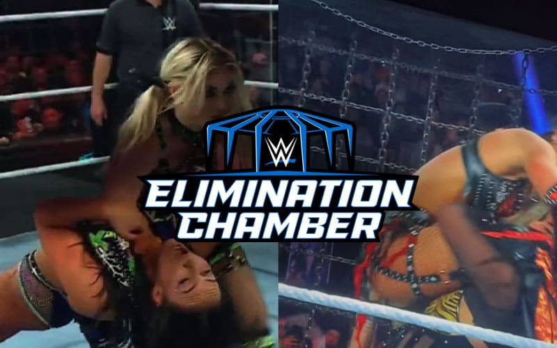 WWE Wardrobe Malfunctions Highlight Operational Scrutiny in Live Sports Entertainment