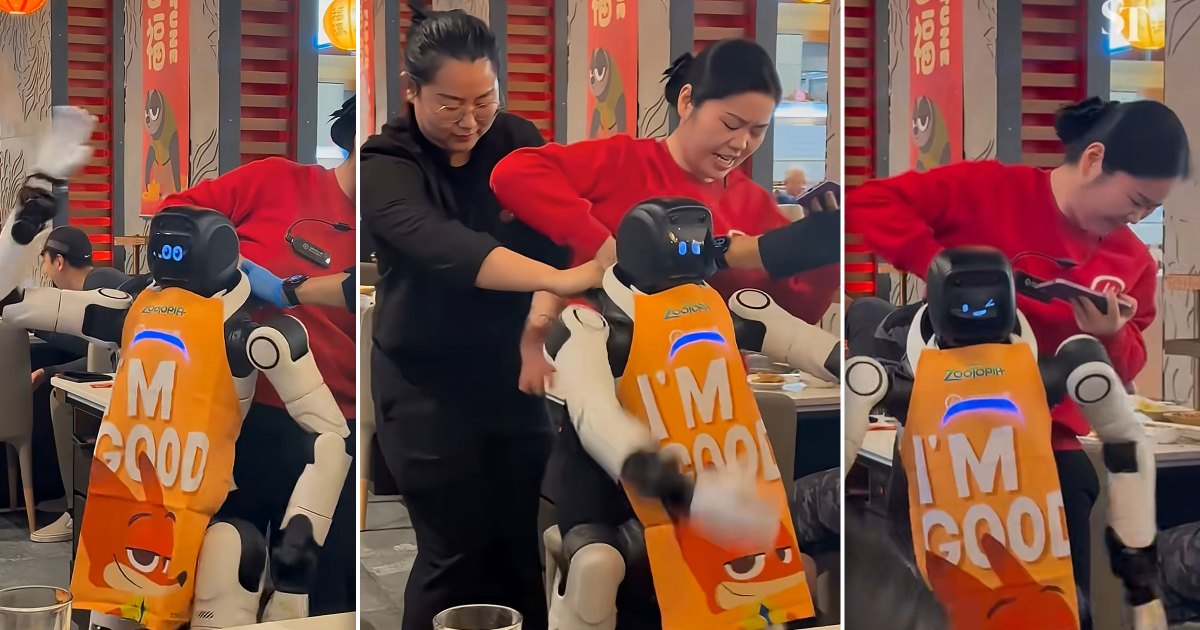 Dancing Robot Malfunction: Unpacking Automation's Operational & Safety Gaps in Service