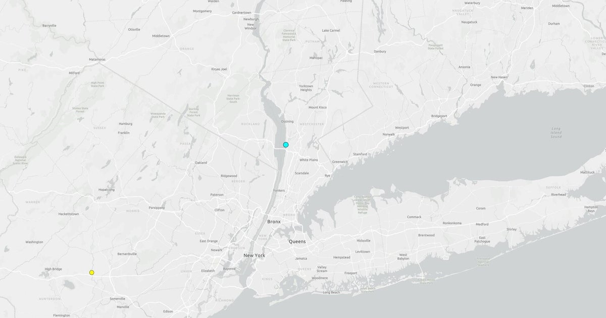 Minor Earthquake Near NYC Tests Seismic Risk Protocols in High-Density Zone
