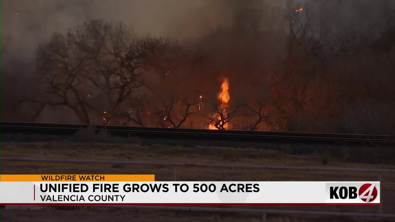 Unified Fire Incident: Exposing Critical Infrastructure Vulnerabilities in New Mexico's Rio Grande Bosque Ecosystem