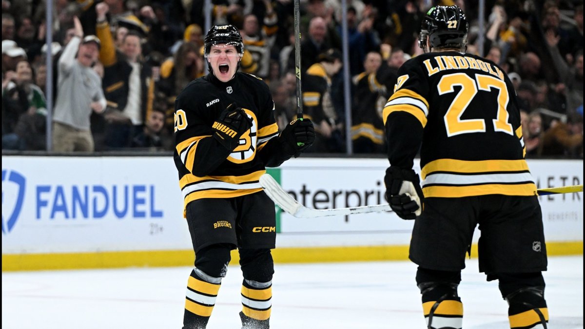 Bruins vs. Sabres Playoff Matchup: Strategic Seeding and Goaltending Volatility
