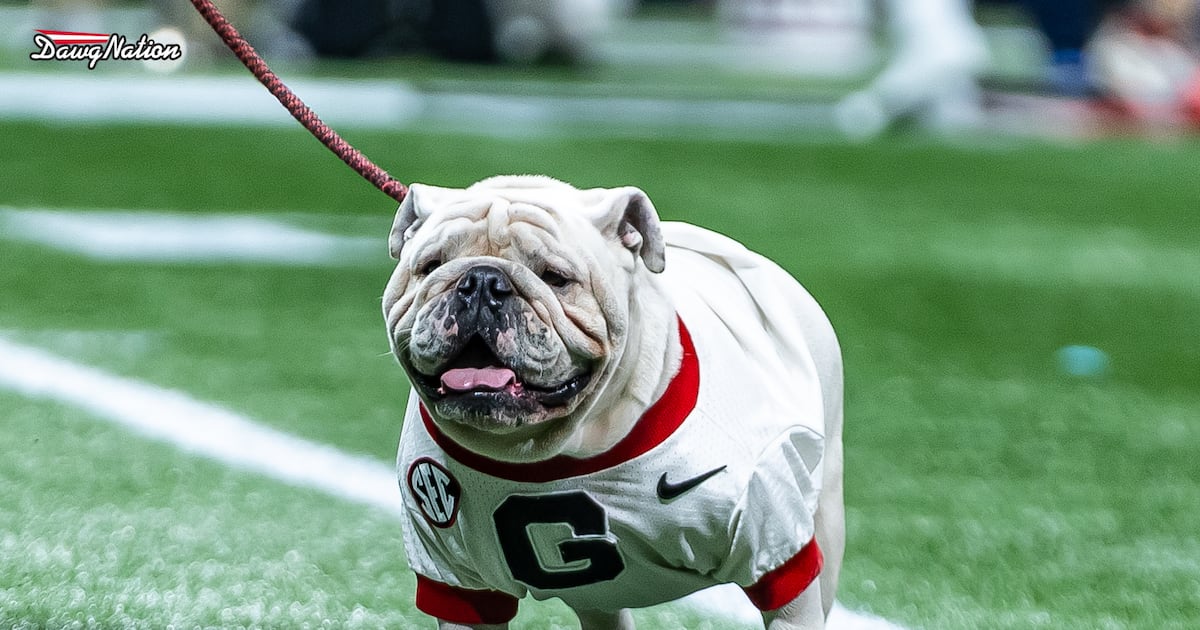 Georgia Football Spring Game: Strategic Analysis of Roster Turnover, Media Rights, and Recruiting