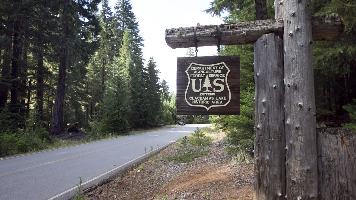 U.S. Forest Service Restructuring: Geopolitical Realignment and Research Consolidation