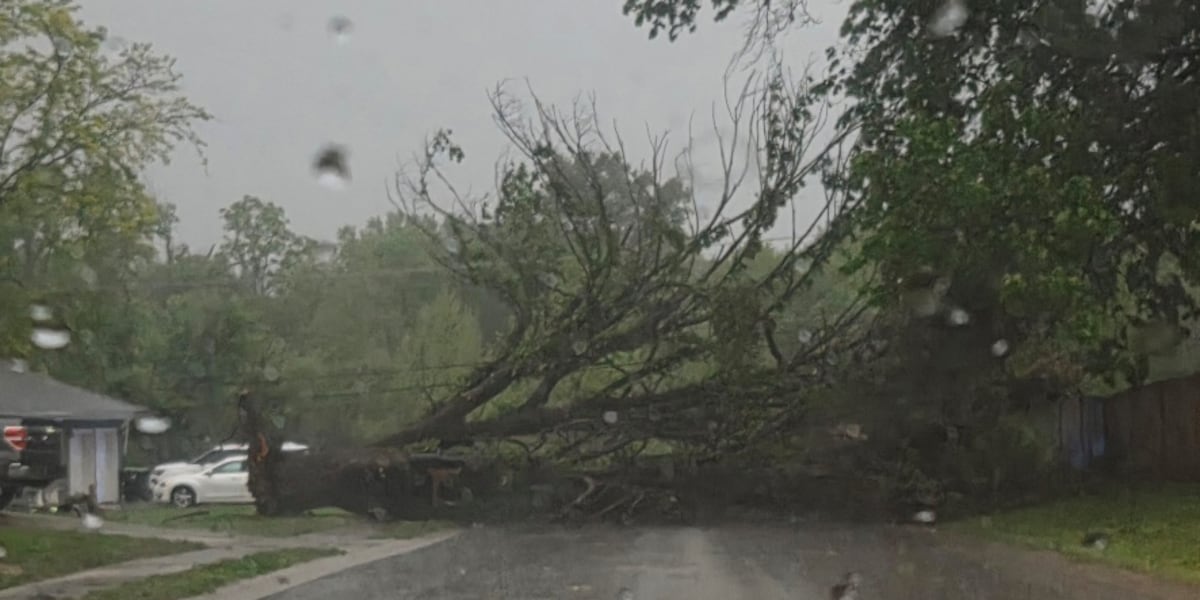Kansas City Severe Weather Event: Strategic Analysis of Risk, Media, and Operational Resilience