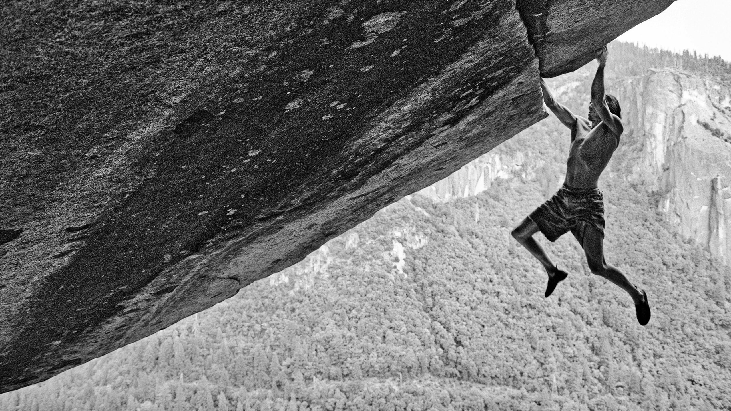 The Dark Wizard: Analyzing the Institutional Commodification of Extreme Risk on HBO