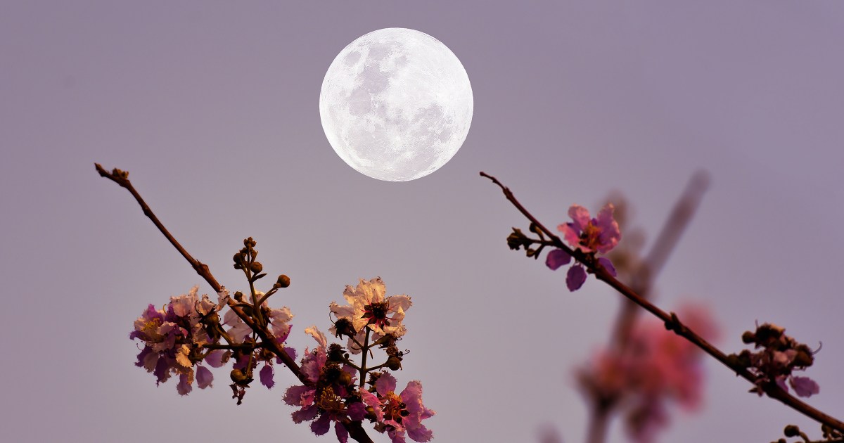 May 2026 Lunar Cycle: Orbital Mechanics and Strategic Research Utility
