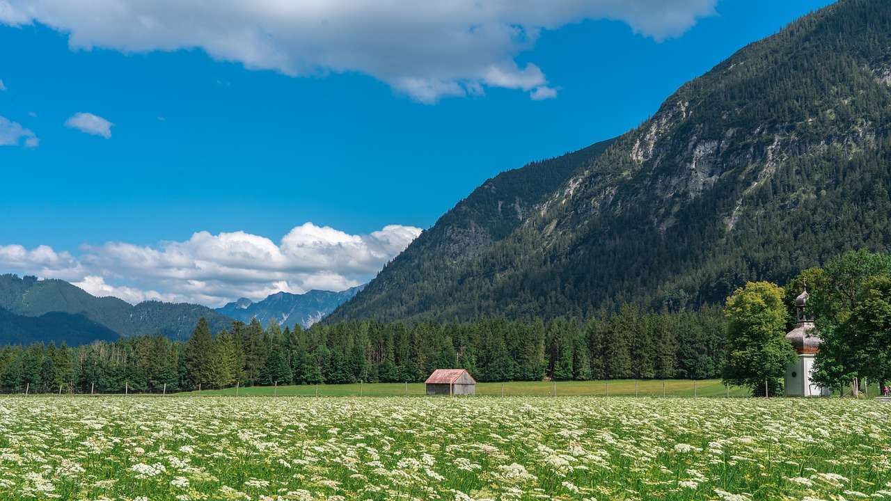 Bayer - Photo by ChiemSeherin