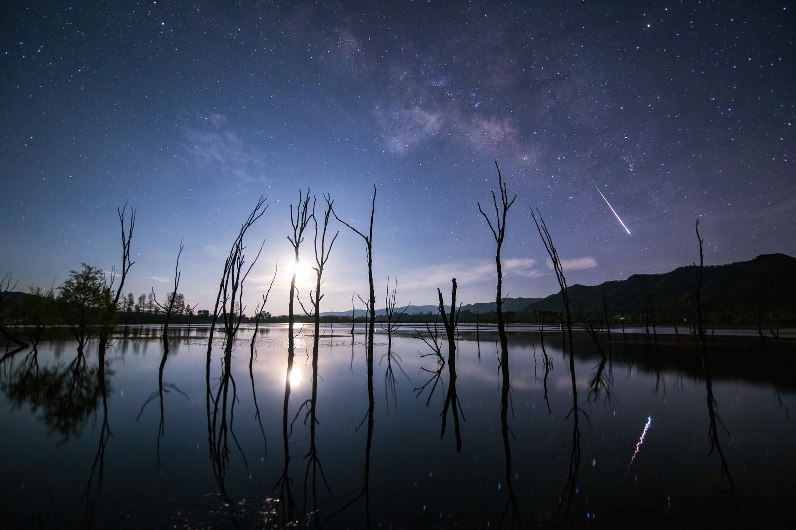 Orbital Mechanics and Observational Strategy: The 2026 Lyrid Meteor Shower Peak