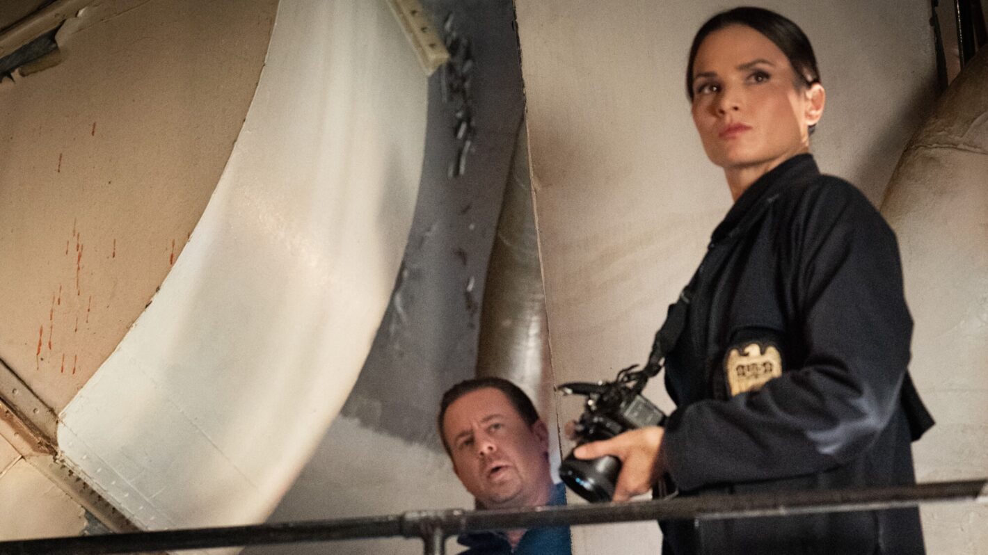 NCIS Production Evolution: Rocky Carroll’s Transition and the McGee Succession